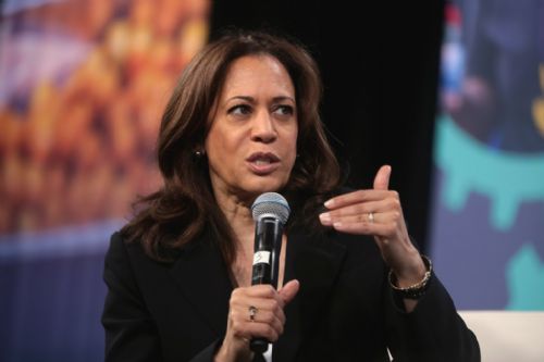 Kamala Harris Wants Abortions Up to Birth in Every Single State