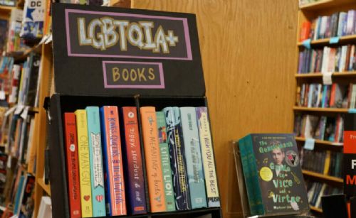 Florida removed over 4,500 LGBT, sexually explicit books from schools last year: report