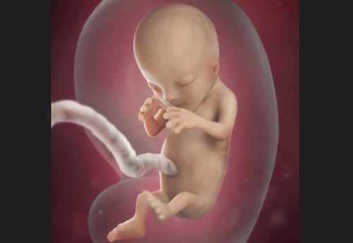 Dobbs is Saving Thousands of Babies From Abortions, CDC Stats Confirm