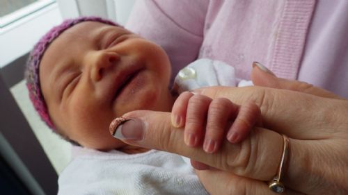 Abortions Drop 40% in Florida This Year Thanks to Heartbeat Law
